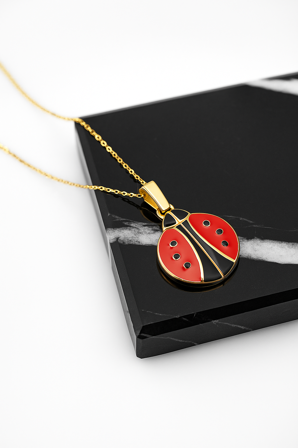 Hidden Message Ladybug - Custom